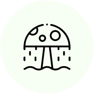 Intervenciones en espacios públicos